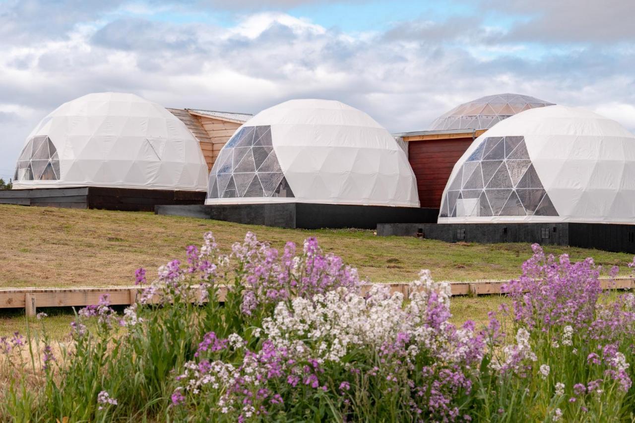 Garden Domes
